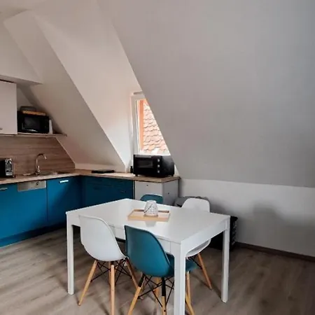 Lägenhet La Bleue D'ottrott Ottrott